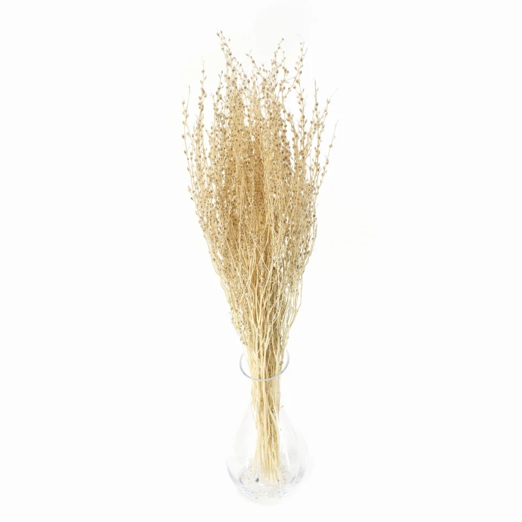 Lepidium suszone bielone (pieprznica)