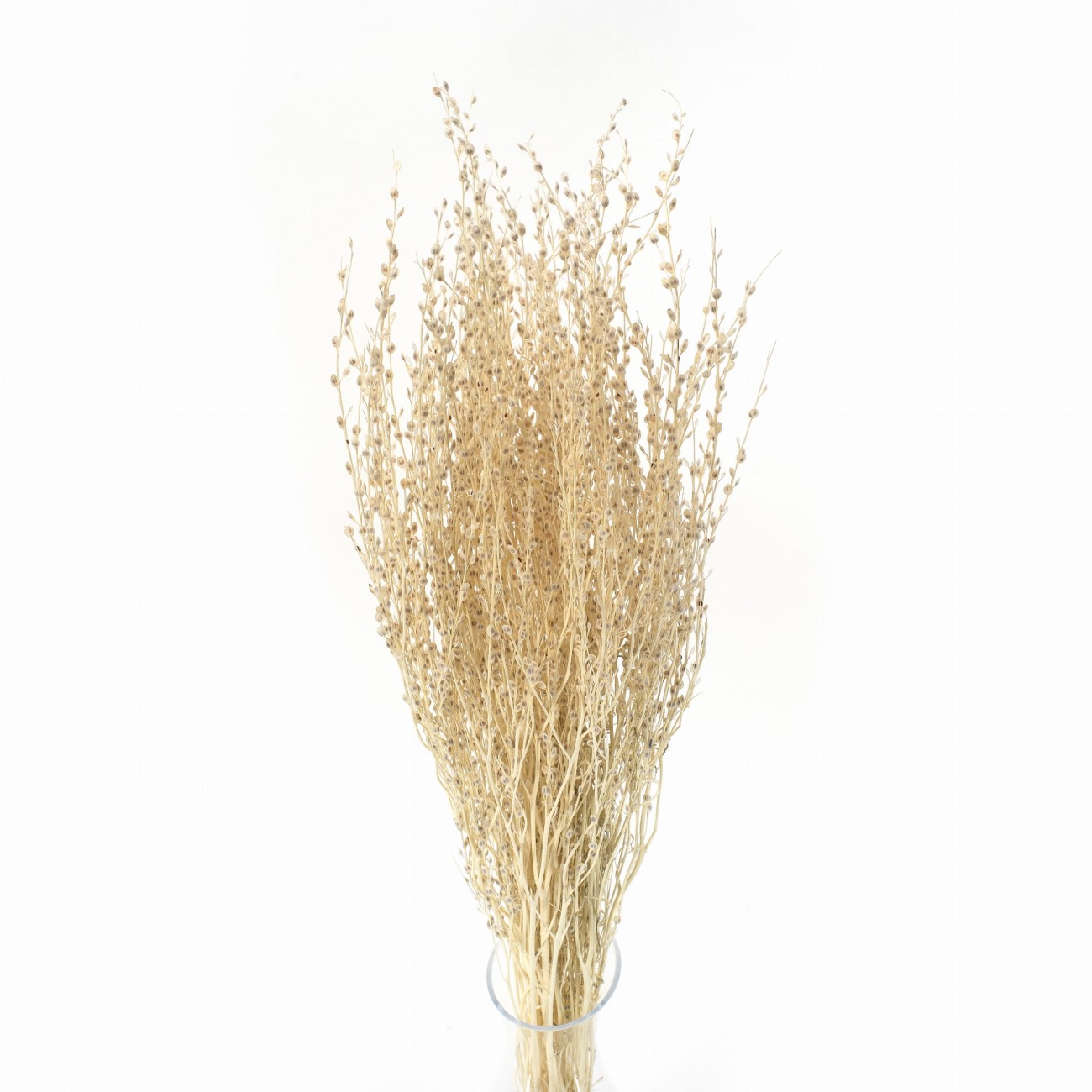 Dried lepidium bleached