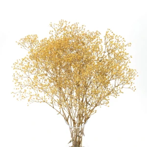 Preserved gypsophila yellow - bouquet 