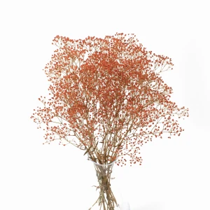 Preserved gypsophila orange - bouquet 