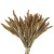 Suszona setaria naturalna - suszone trawy