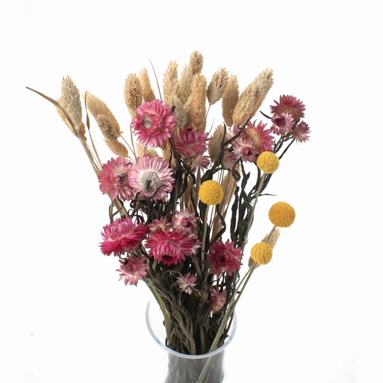 Zestaw suszonych kwiatów Oro roz. S - kraspedia, kocanka, phalaris