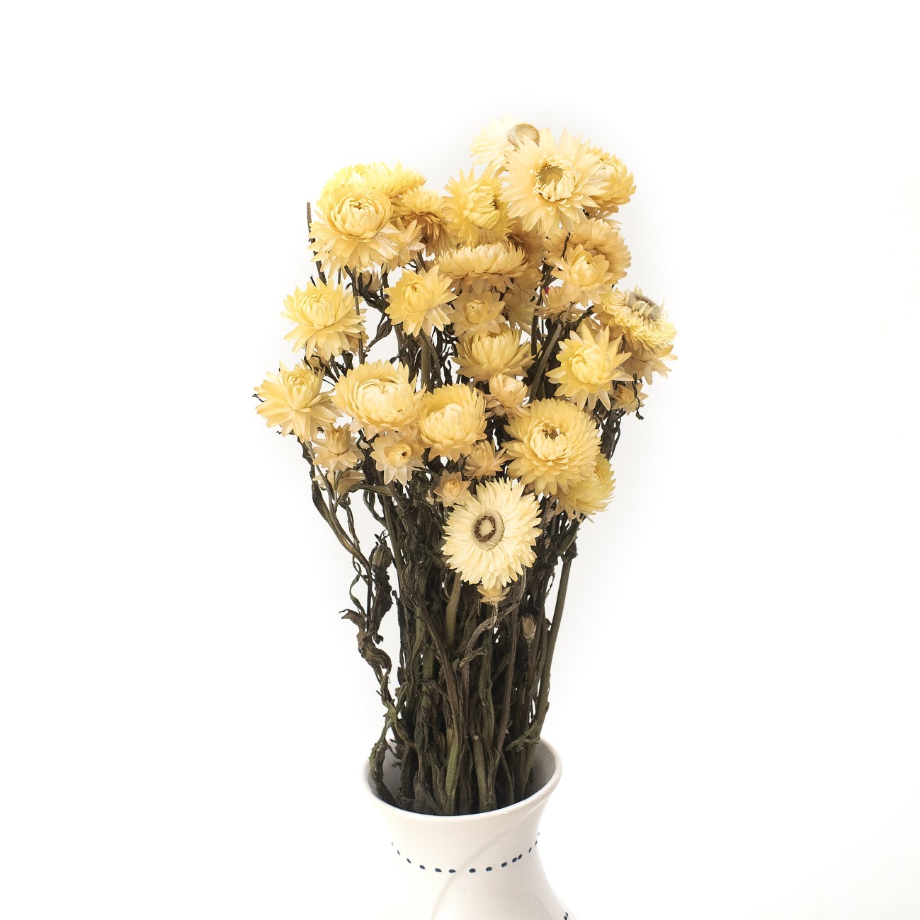 Suszona kocanka cytrynowa (Helichrysum)  80 g - bukiet