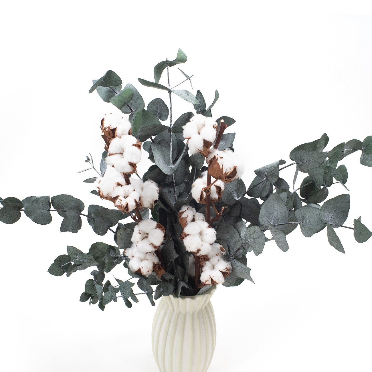 Zestaw zimowy eukaliptus Cinerea + gałązki bawełny - do wazonu