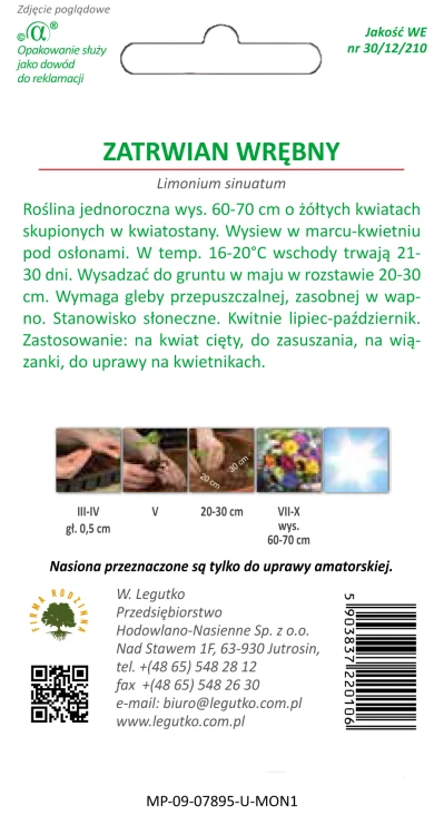 Zatrwian wrębny żółty nasiona