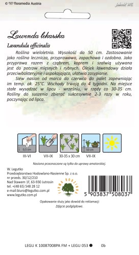 Lawenda lekarska nasiona - kwiaty na suche bukiety
