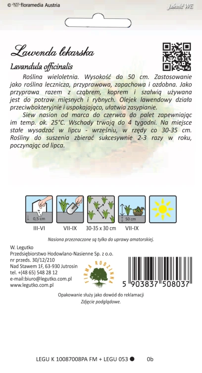 Lawenda lekarska nasiona - kwiaty na suche bukiety