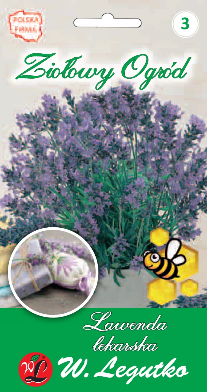 Lawenda lekarska nasiona - kwiaty na suche bukiety