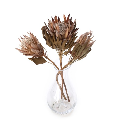 Suszona protea king różowa