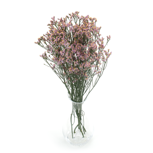 _DSC7245.png