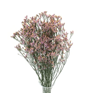 Pink limonium - dried flowers