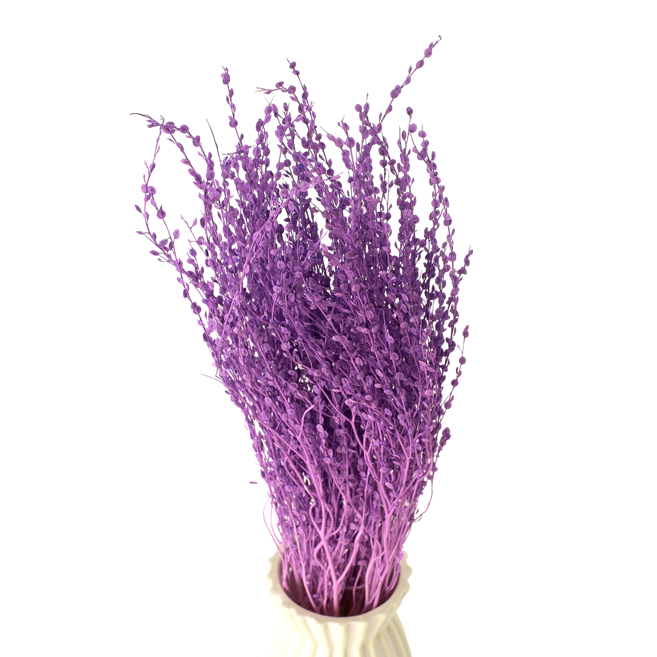 Dried lepidium violet