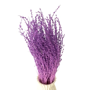 Dried lepidium violet
