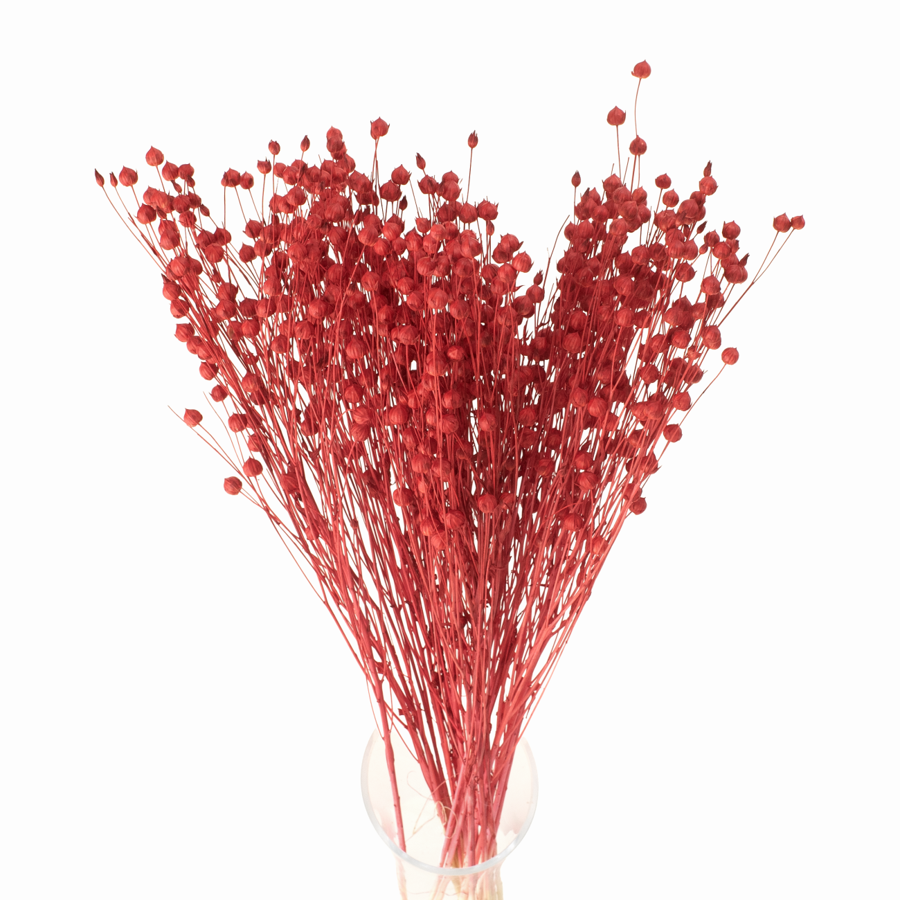 Suszony len czerwony - bukiet 90g - suszone kwiaty 