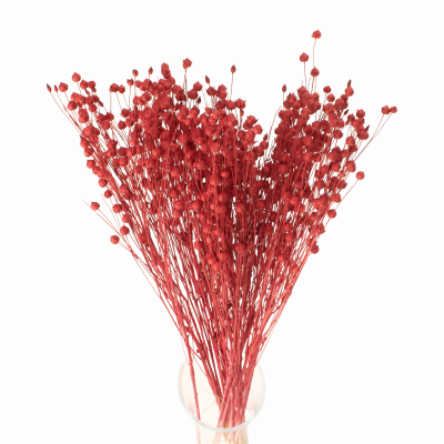 Suszony len czerwony - bukiet 90g - suszone kwiaty 