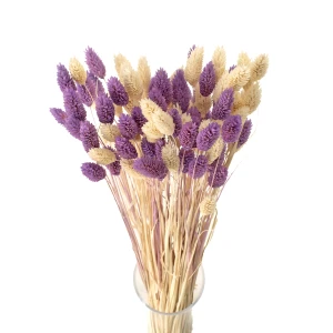 Dried grasses bouquet phalaris light violet & phalaris bleached