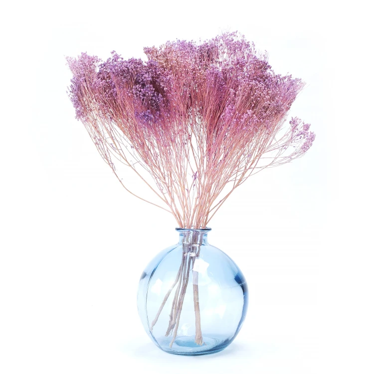 Broom Bloom suszony fioletowy