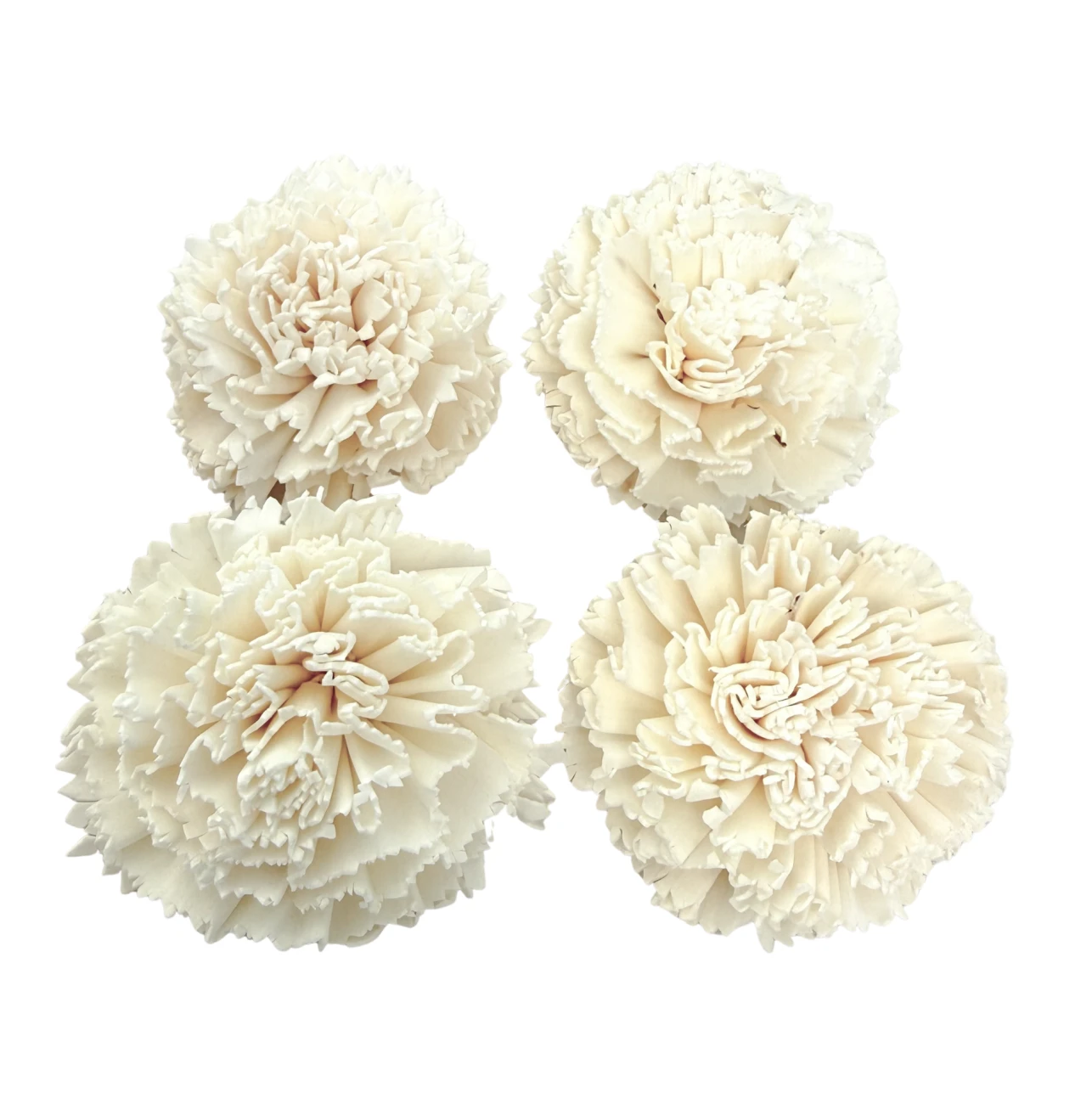 Kwiat shola - goździk biała 7 cm