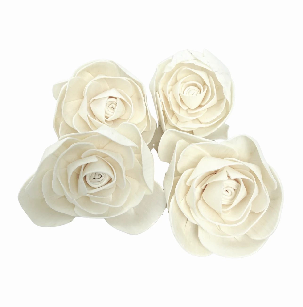 Kwiat shola - jaskier biały  7 cm