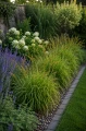 Turzyca muskegońska (Carex) C2