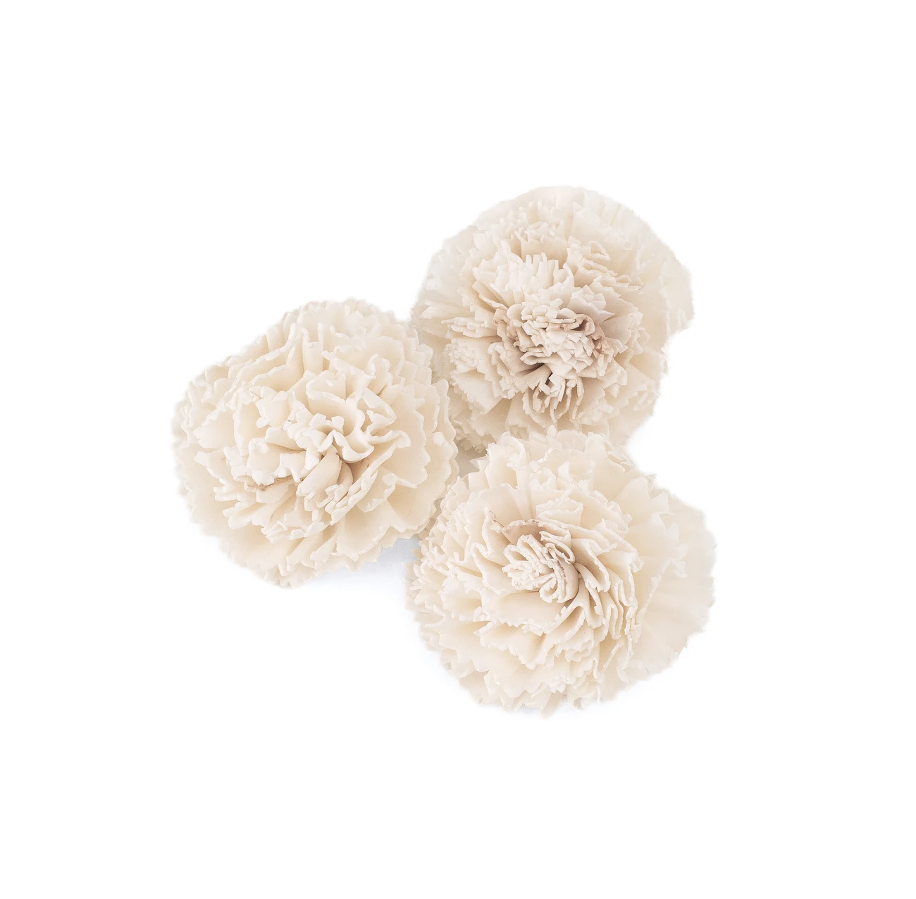 Shola flower - white daisy 6cm (1) (1) (1)