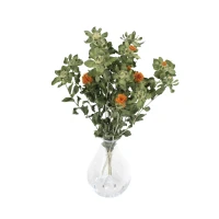 Carthamus - dried flowers