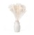 broom bloom bielony