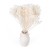 broom bloom bielony