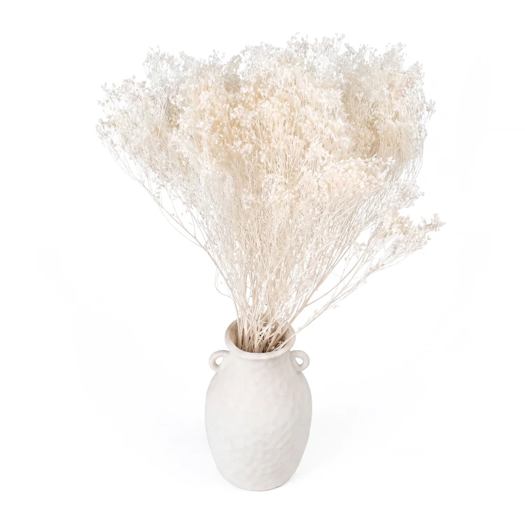 broom bloom bielony