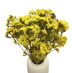 Dried statice white (limonium) - dried flowers (1)