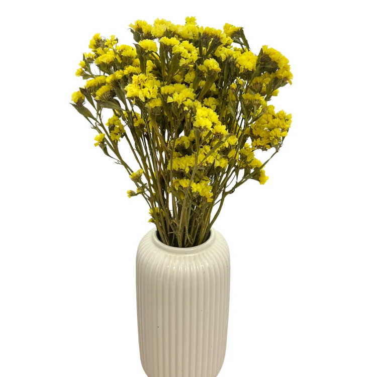 Zatrwian wrębny suszony żółty (limonium)