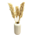 Suszone sorgo bielone 5 szt.