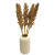 Suszone sorgo naturalne 5 szt.