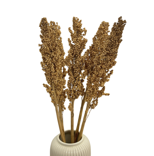 Suszone sorgo naturalne 5 szt.