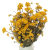 Lonas naturalny - suszone kwiaty - bukiet