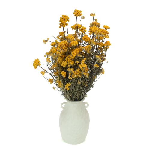 Lonas naturalny - suszone kwiaty - bukiet