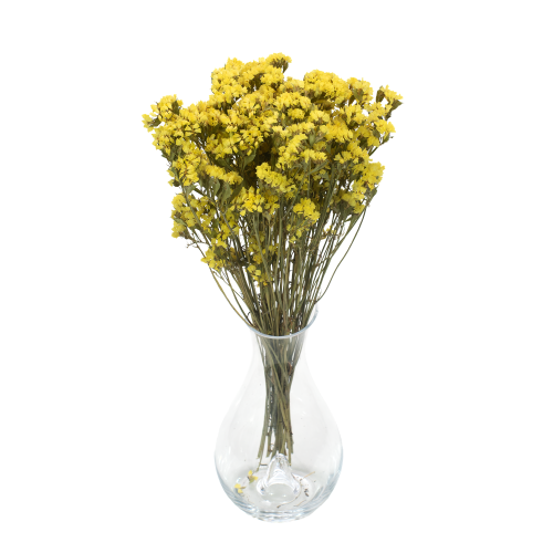 Zatrwian wrębny (limonium) - suszone kwiaty