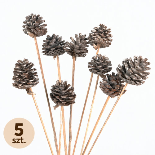 Naturalne szyszki sosnowe frosted na patyczku 5 szt.
