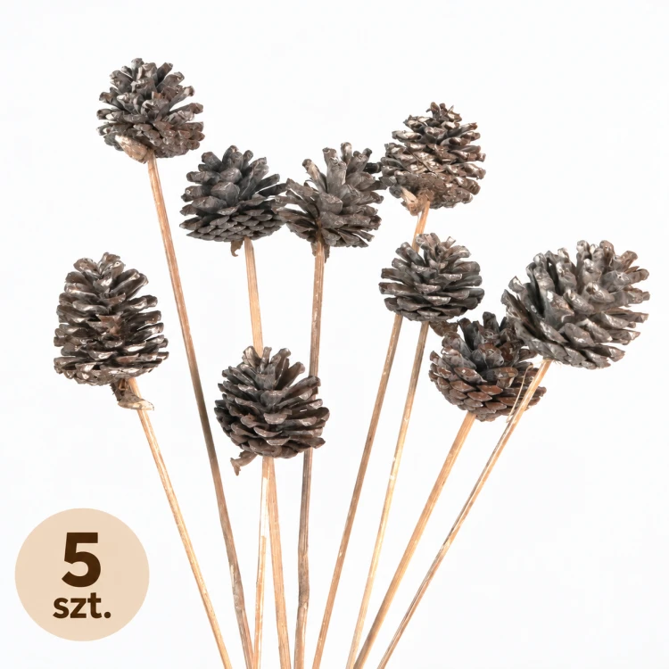 Naturalne szyszki sosnowe frosted na patyczku 5 szt.