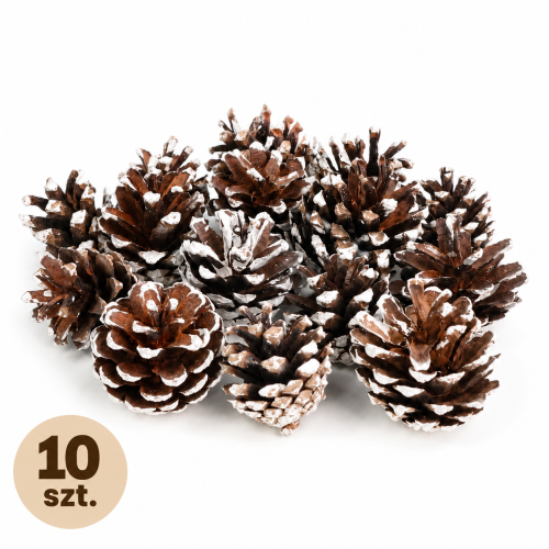 Suszone szyszki sosnowe (pine cone) frosted do dekoracji