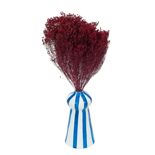 Broom Bloom suszony burgundowy