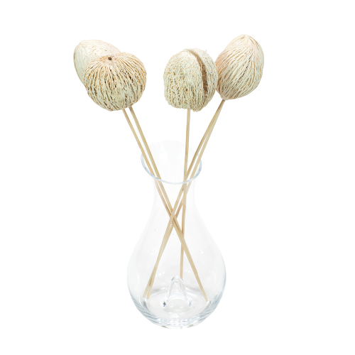 Kula Mintola (Mintola Ball)