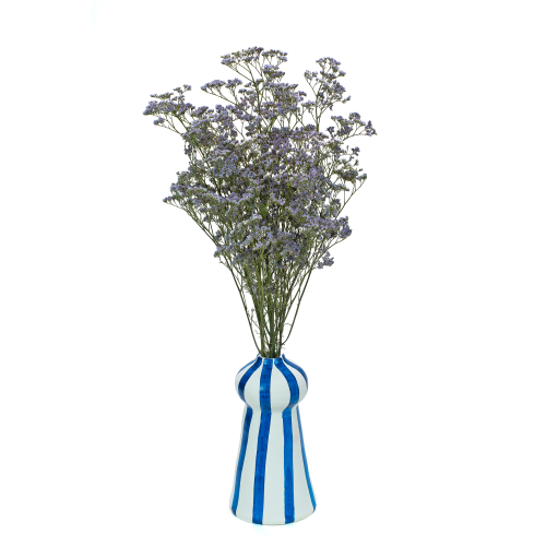 Limonium jasnofioletowe - suszone kwiaty