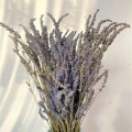 Suszona lawenda bukiet