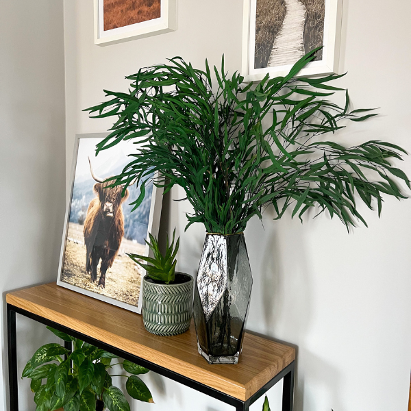 Liście eukaliptusa: Przewodnik po roślinach stabilizowanych