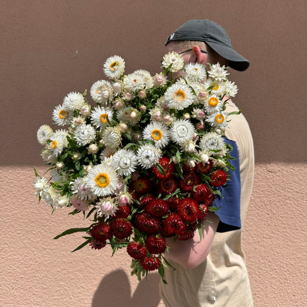 Co kwitnie w lipcu: Przewodnik po roślinach kwitnących w środku lata