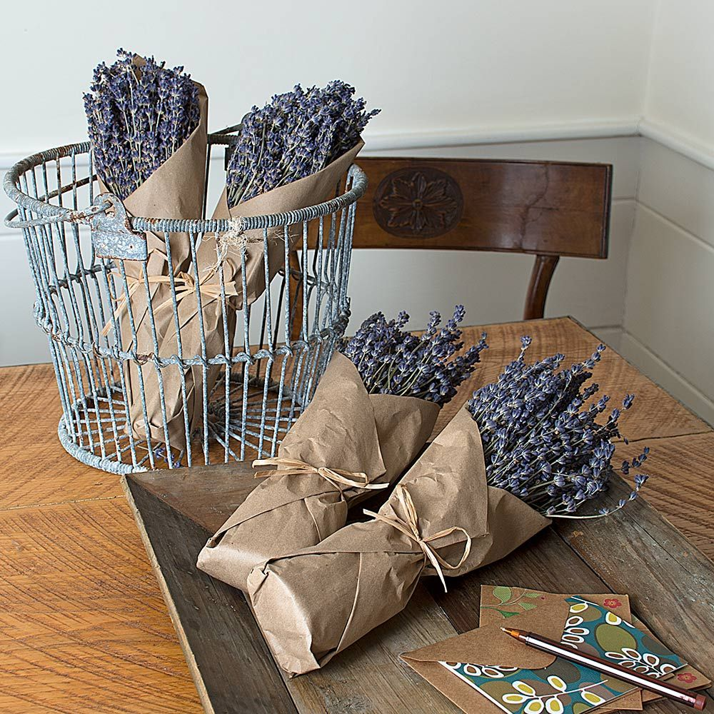 Jak suszyć lawendę?